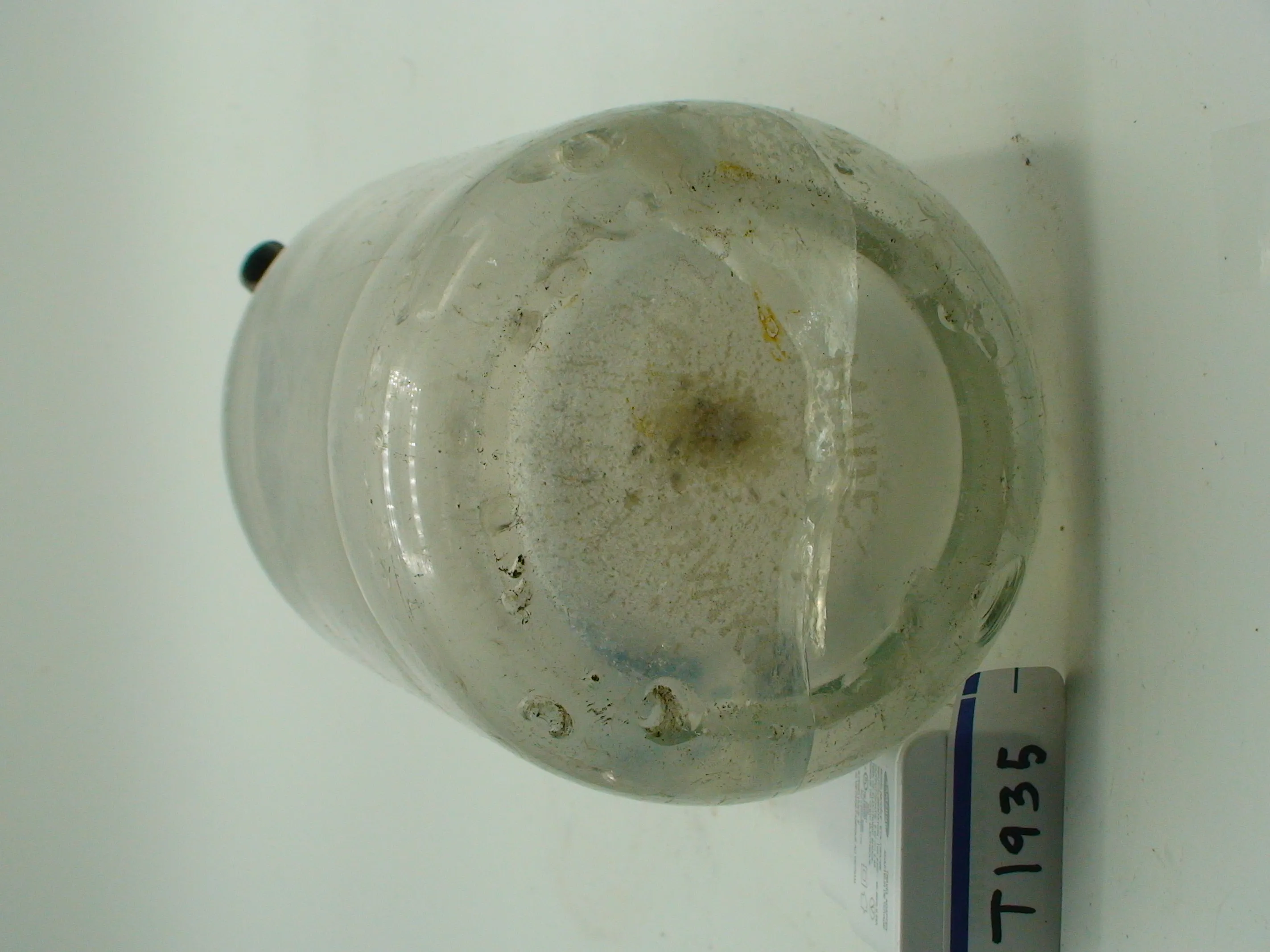 DSC01908