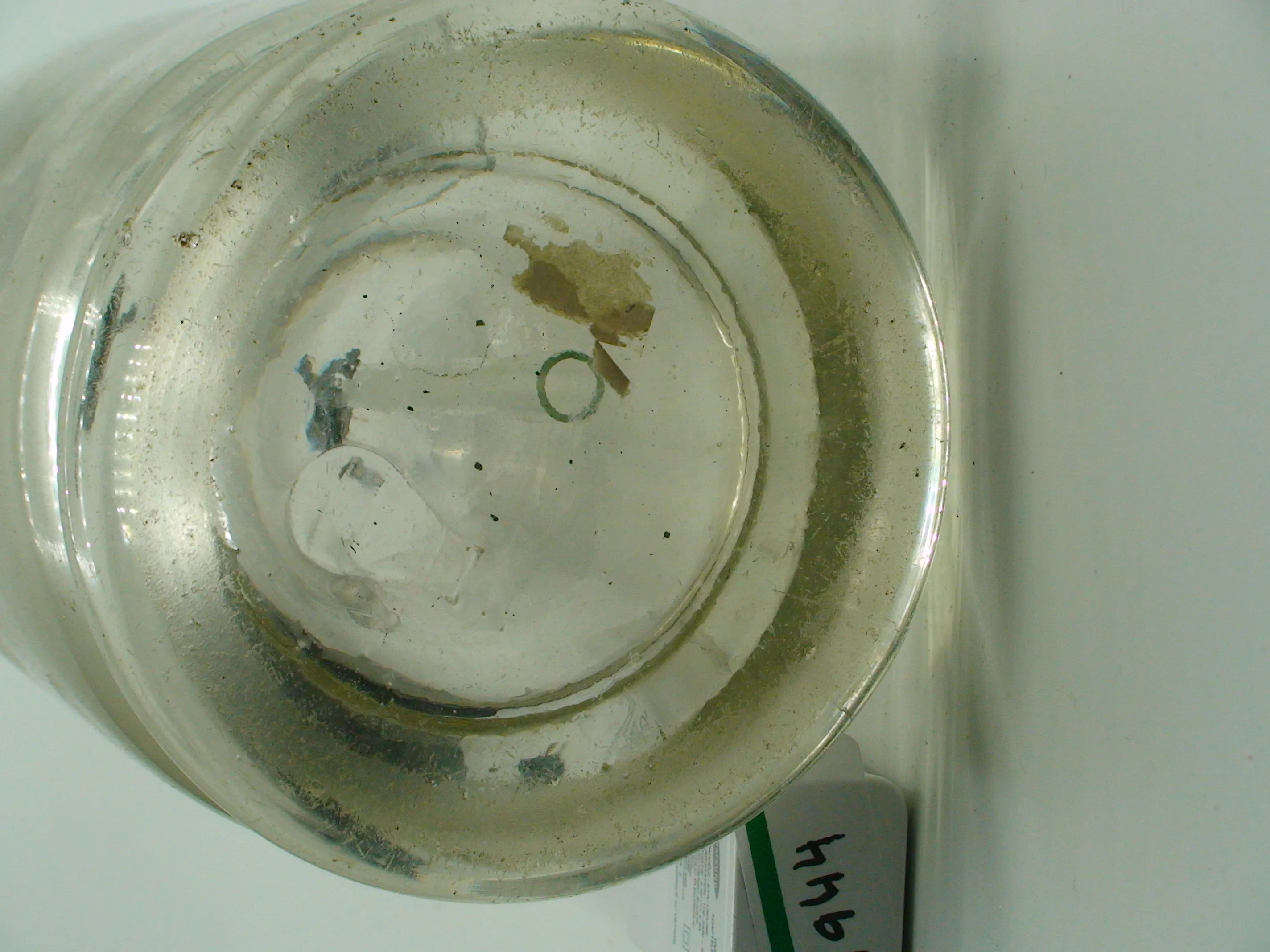 DSC02043